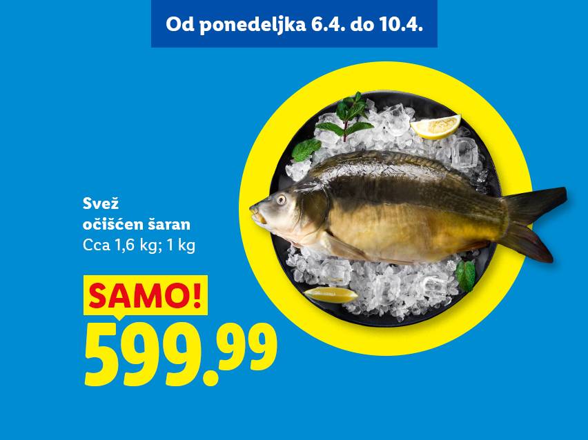 Svež očišćen šaran na ledu sa limunom i mentom, cena 599.99, akcija od 6.4. do 10.4.