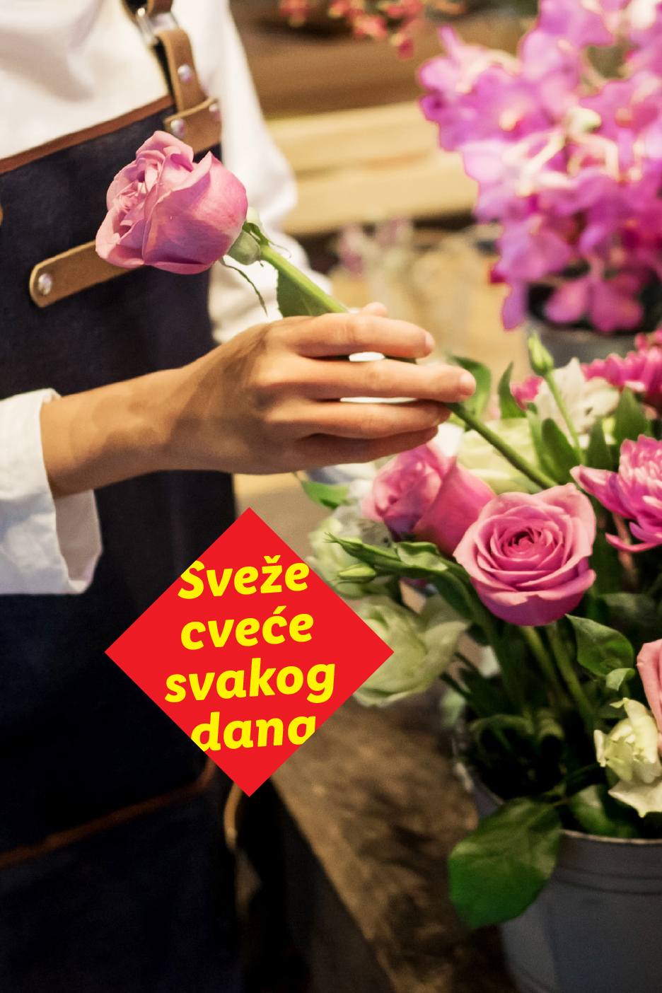 Cvećar aranžira buket ružičastih ruža, sa natpisom „Sveže cveće svakog dana“.