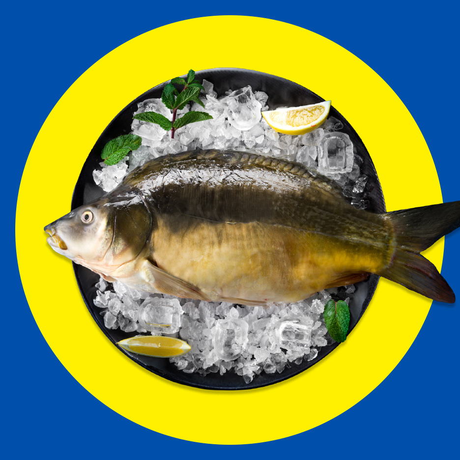 Svež šaran na ledu sa limunom i nanom, na crnom tanjiru sa žutim i plavim krugom.