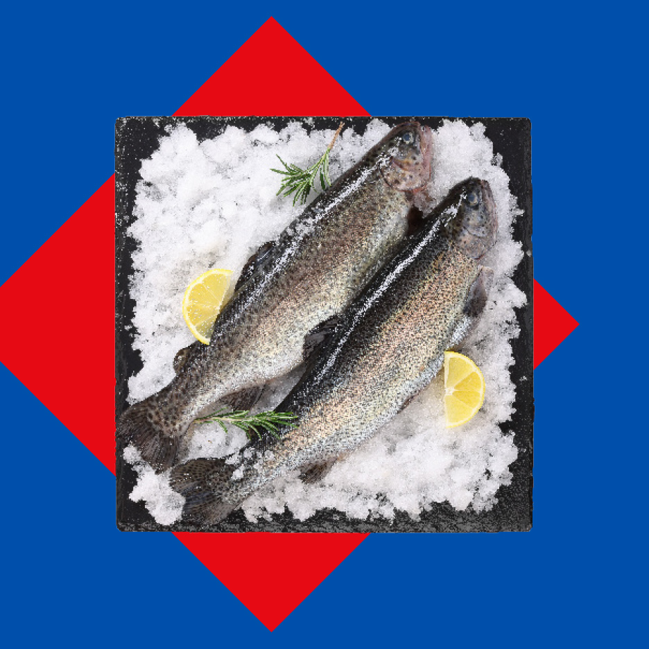 Dve sveže pastrmke na ledu sa kriškama limuna i ruzmarinom, na crnoj ploči.