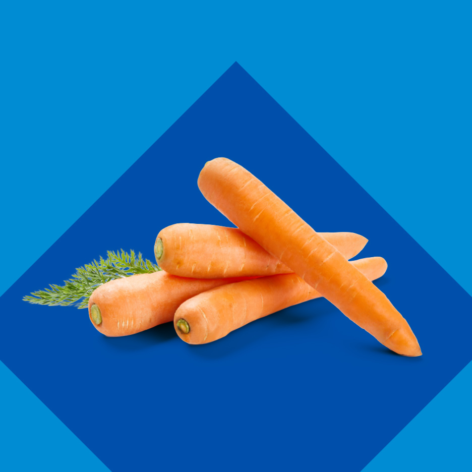 Sveže šargarepe sa zelenim lišćem na plavoj pozadini