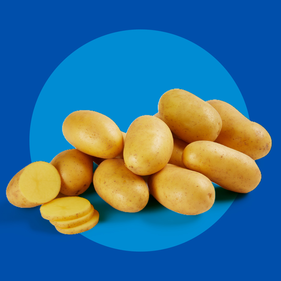 Sveži krompiri, celi i isečeni, na plavoj pozadini